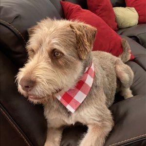 Meet your Posher, Jocelyn